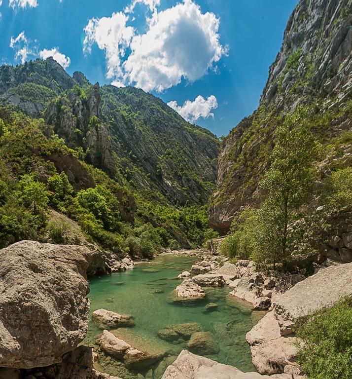Villa Lorraine Vence Bagian luar foto